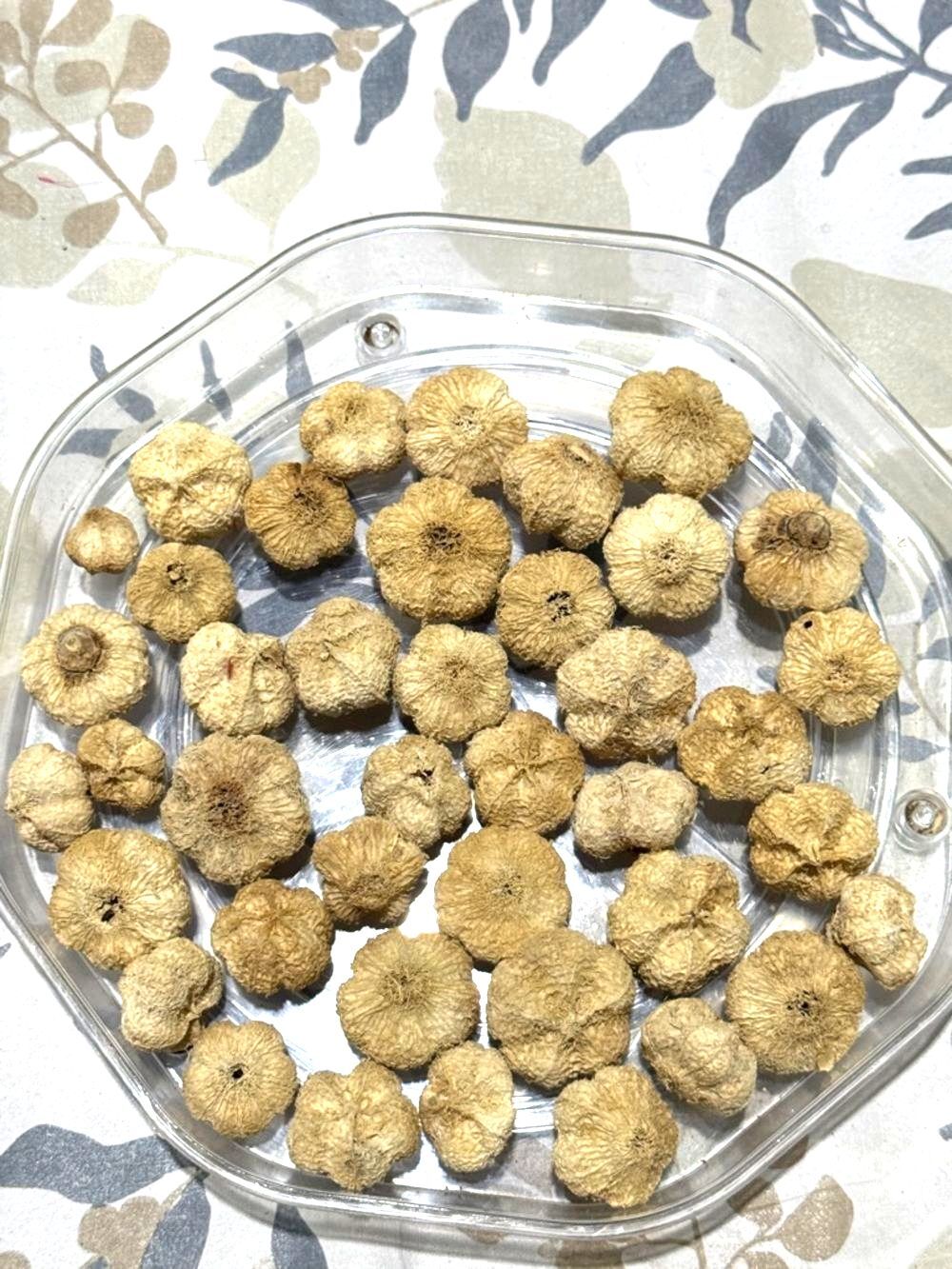 Dried Mini Mushroom Caps - Natural Beige